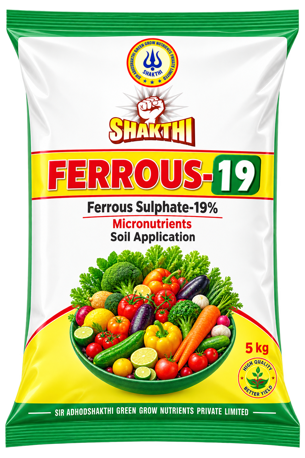 Shakthi Ferrous-19 product package